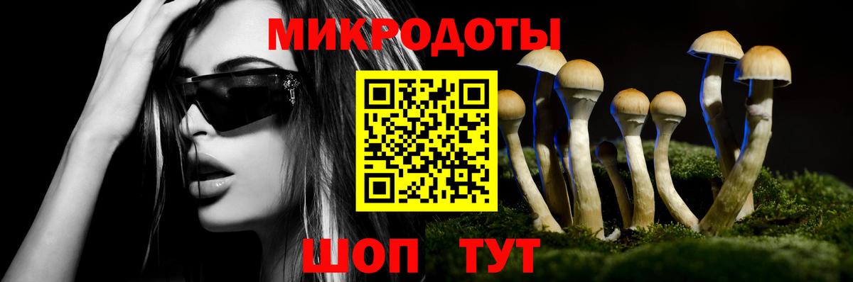 Галлюциногенные грибы Cubensis Юрга